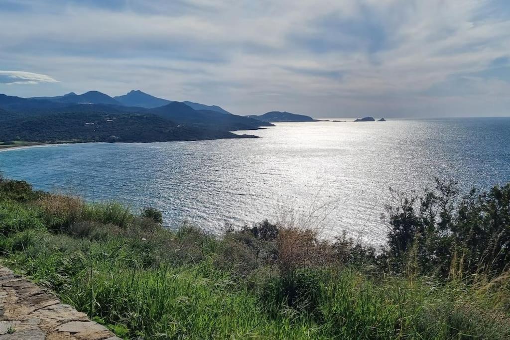 Charmant Petit Logement A 3 Kms De La Plage Belgodère Kültér fotó